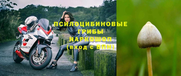прущая мука Надым