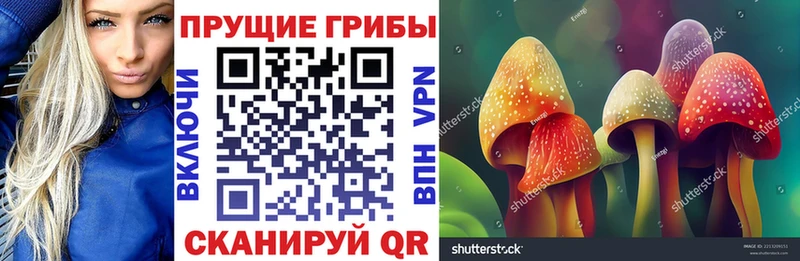 купить   Нововоронеж  Псилоцибиновые грибы MAGIC MUSHROOMS 