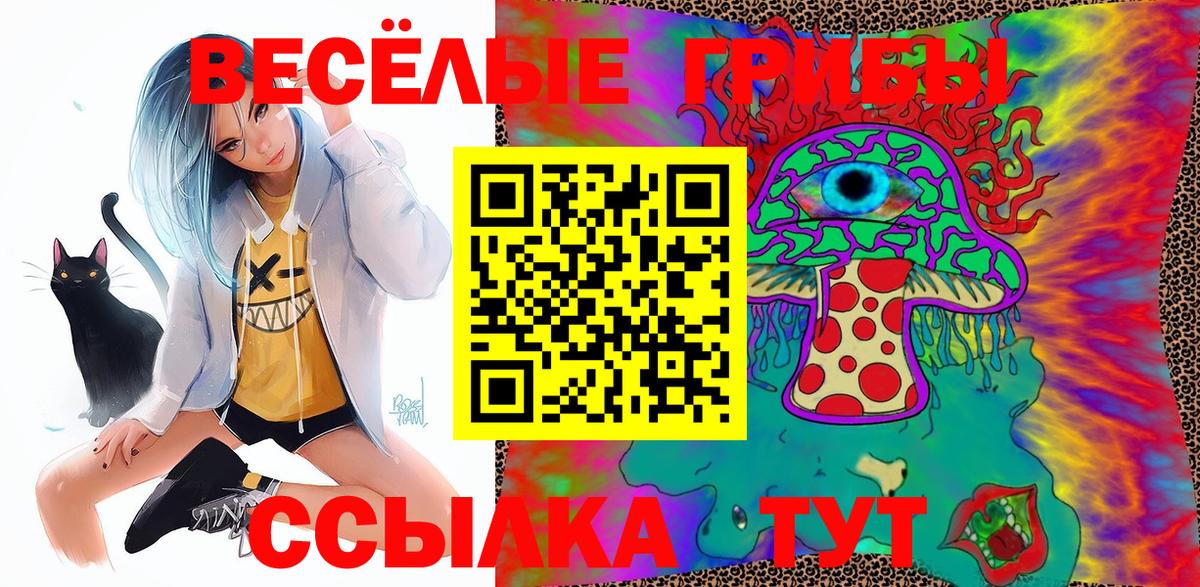 Галлюциногенные грибы Cubensis Нововоронеж