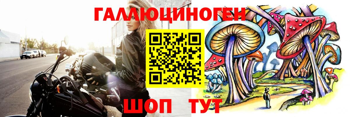 Псилоцибиновые грибы мицелий Нововоронеж