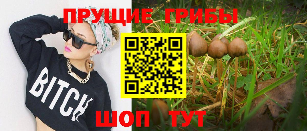 купить   Галлюциногенные грибы Psilocybine cubensis  Вход с VPN  Нововоронеж 
