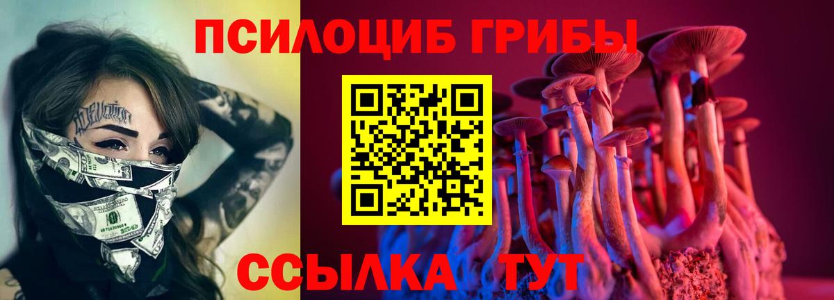 как найти наркотики  Нововоронеж  Галлюциногенные грибы GOLDEN TEACHER 